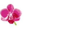 CK:s Resor